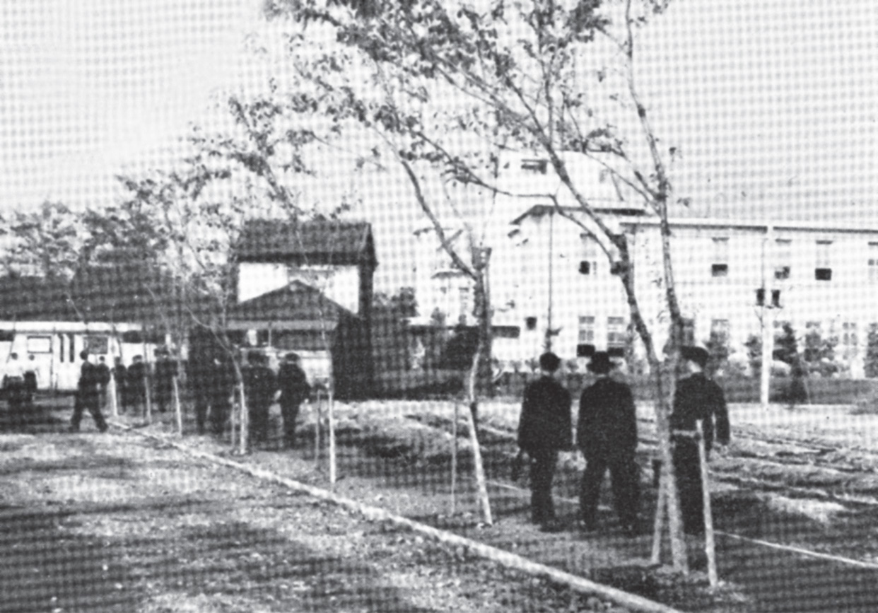 桜並木を板橋新校舎（右奥）に向かう学生たち