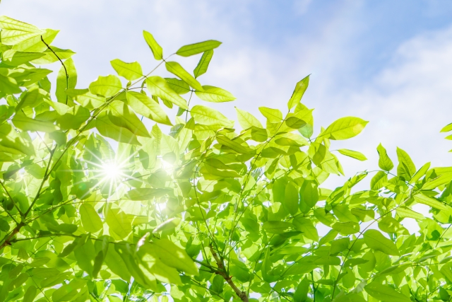 次世代支援センター